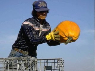 foto (14)